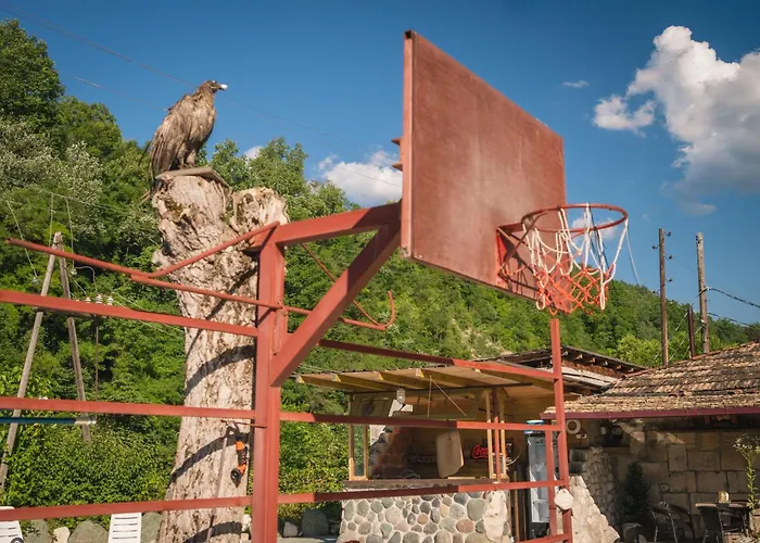 Hotel Metekhara